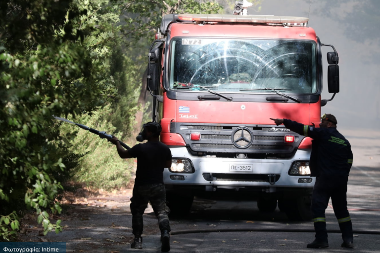 Χαλκιδική: Φωτιά στη Γαλάτιστα σε αγροτική έκταση