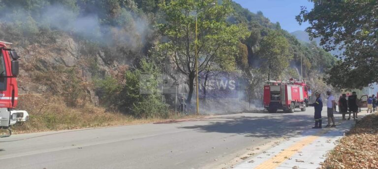 Υπό πλήρη έλεγχο τέθηκε η πυρκαγιά στη Γλυκή Θεσπρωτίας – Την “πρόλαβε” η Πυροσβεστική