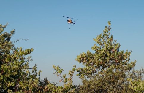 ΗΠΑ: Η στάση της Ρωσίας για τα πυρηνικά μπορεί να αλλάξει με την εκπνοή της συμφωνίας <strong>New START</strong>