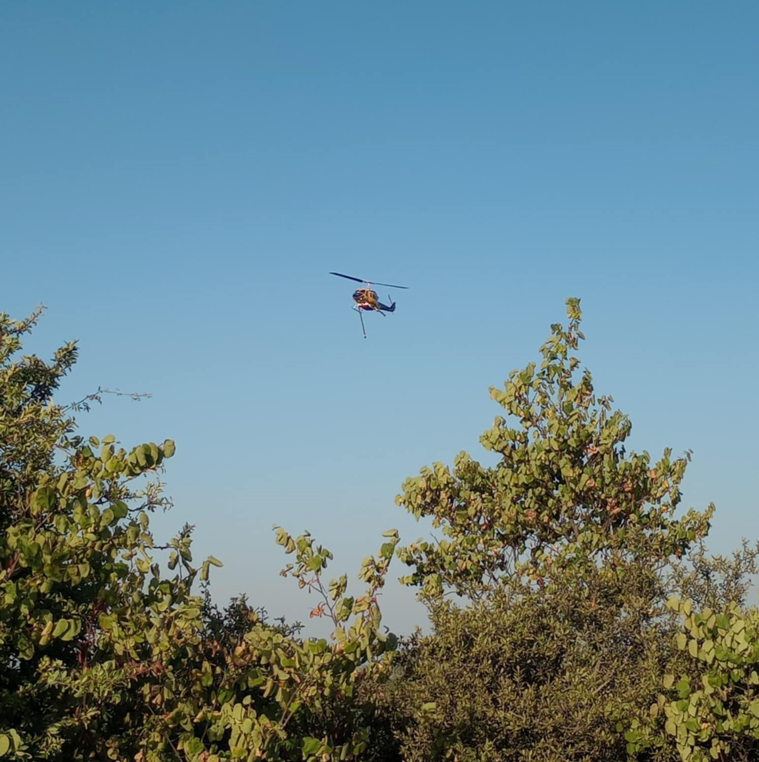 Πυρκαγιά σε εξέλιξη στην Κρύα Βρύση Καρδίτσας