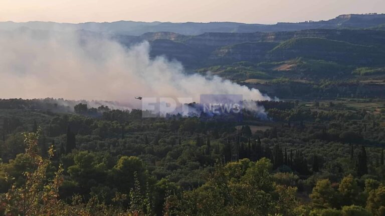 Χελιδόνι Ηλείας: Περιορίστηκε η μεγάλη αναζωπύρωση – Συνεχίζεται η επιχείρηση πυρόσβεσης
