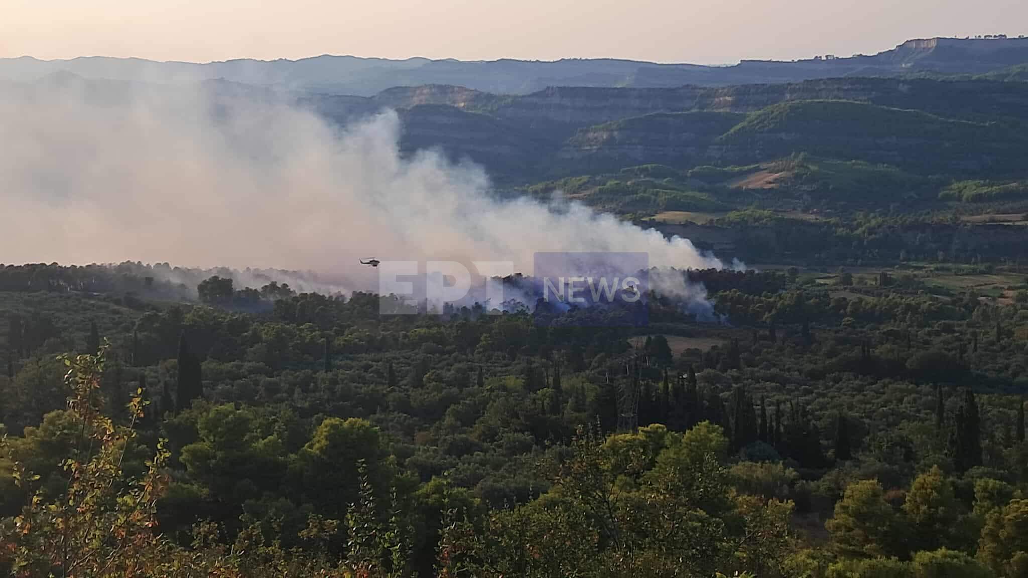 Χελιδόνι Ηλείας: Περιορίστηκε η μεγάλη αναζωπύρωση – Συνεχίζεται η επιχείρηση πυρόσβεσης