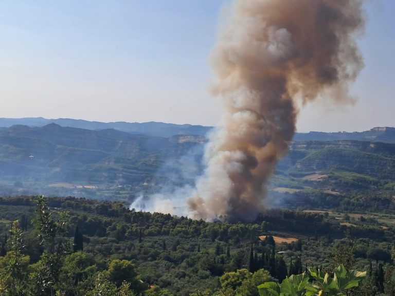 Οι πυρόπληκτοι στο επίκεντρο του δημοτικού συμβουλίου Αρχαίας Ολυμπίας