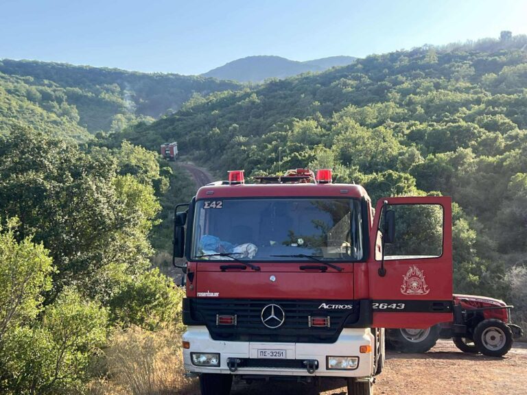 Μεσσηνία: Σε ύφεση η φωτιά σε δασική περιοχή στα Πετράλωνα Μεσσήνης