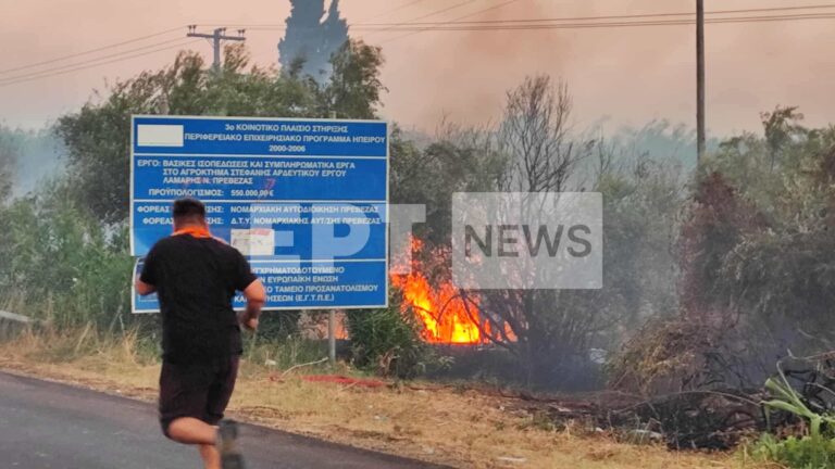 Δαχτυλίδι της φωτιάς στην Πρέβεζα – Ξέσπασαν 5 φωτιές σε σύντομο χρονικό διάστημα και μικρή απόσταση