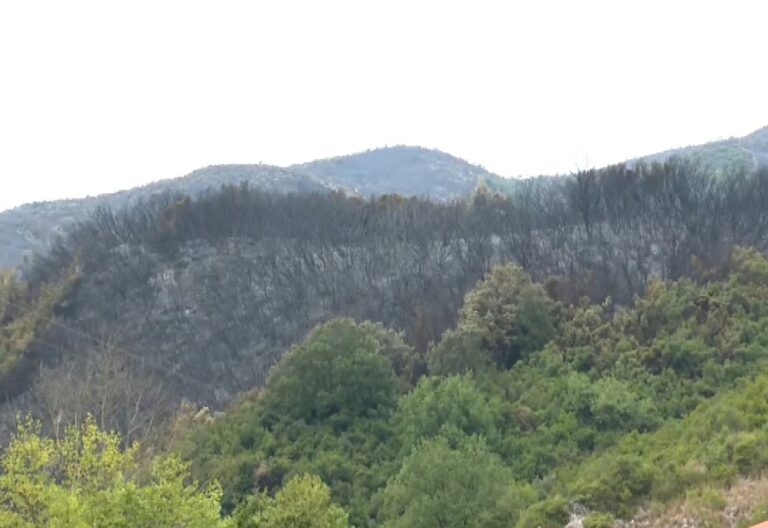 Η Νότια Αλβανία δοκιμάζεται από πυρκαγιές- Ζημιές σε σπίτια, τεράστιες καταστροφές στην καλλιέργεια