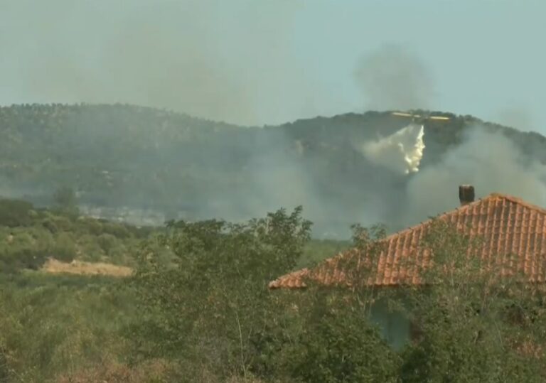 Θεσσαλονίκη: Χωρίς ενεργό μέτωπο η φωτιά στη Μεγάλη Βόλβη- Επί ποδός όλη τη νύχτα ισχυρές πυροσβεστικές δυνάμεις