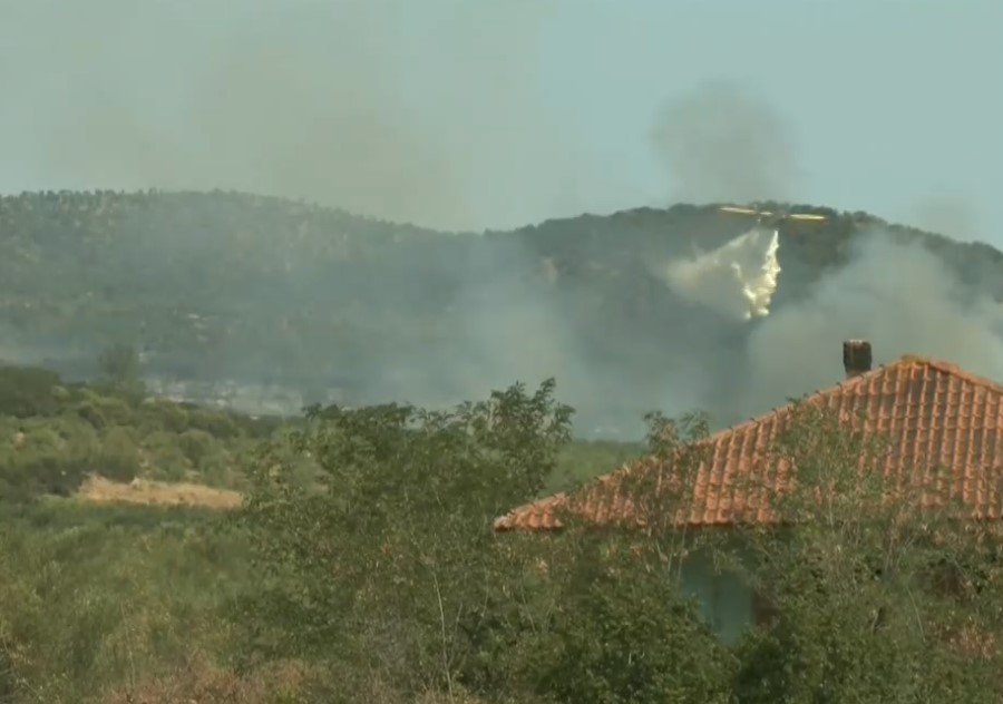 Θεσσαλονίκη: Χωρίς ενεργό μέτωπο η φωτιά στη Μεγάλη Βόλβη- Επί ποδός όλη τη νύχτα ισχυρές πυροσβεστικές δυνάμεις
