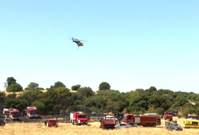 Θεσσαλονίκη: Από μελίσσια ξεκίνησε η φωτιά στον Χορτιάτη