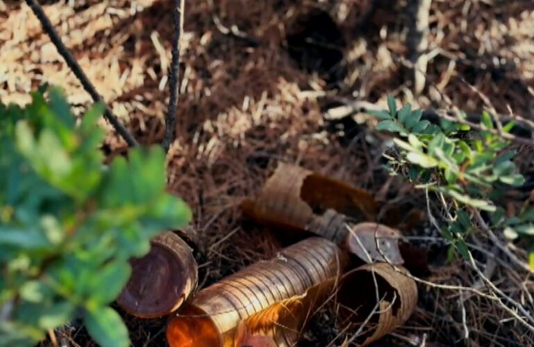 Χαλκιδική: Εθελοντικός καθαρισμός από τους Cleaningans- Ανάμεσα στα σκουπίδια και κουτάκι μπύρας από το 1986