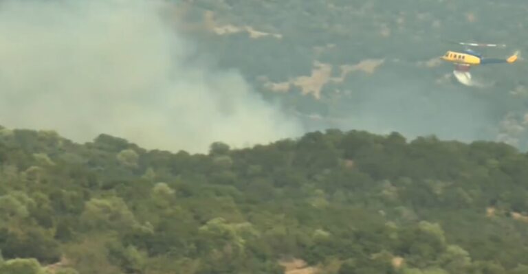 Θεσσαλονίκη: Οριοθετημένη η φωτιά στη μεγάλη Βόλβη- Μεγάλη επιχείρηση της πυροσβεστικής