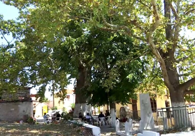 Μανδήλι Σερρών: Το χωριό με τους 25 κατοίκους και έναν πλάτανο 1150 ετών