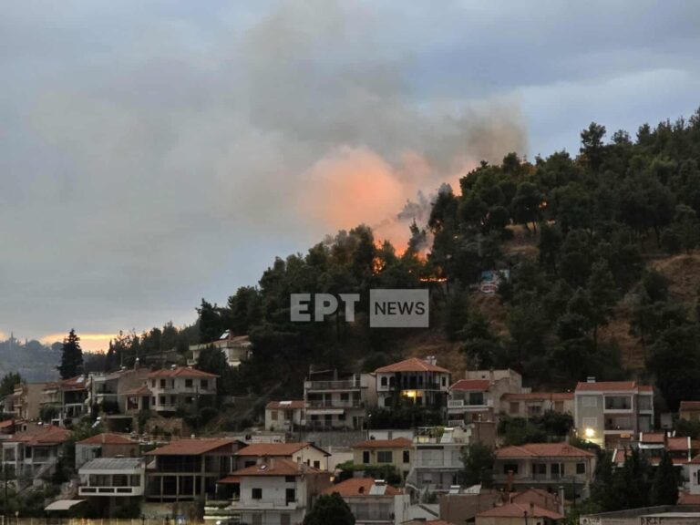 Σέρρες: Φωτιά τώρα στον λόφο του Κουλά πάνω από την πόλη – Μήνυμα από το 112