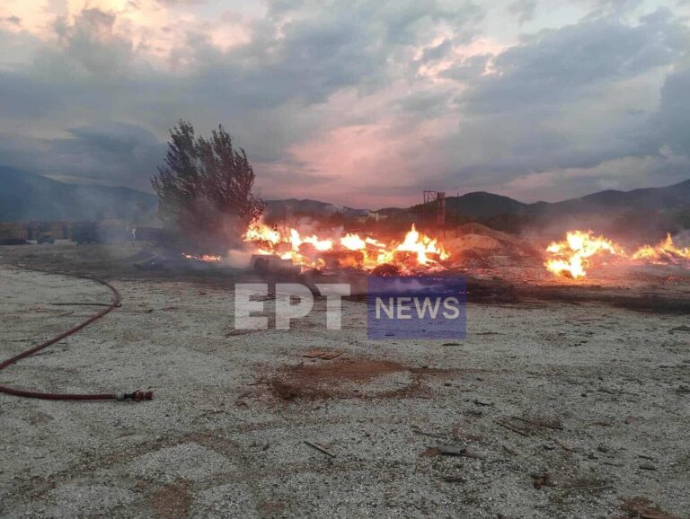 Σέρρες: Υπό έλεγχο η φωτιά σε εργοστάσιο ξυλείας στο Χαρωπό