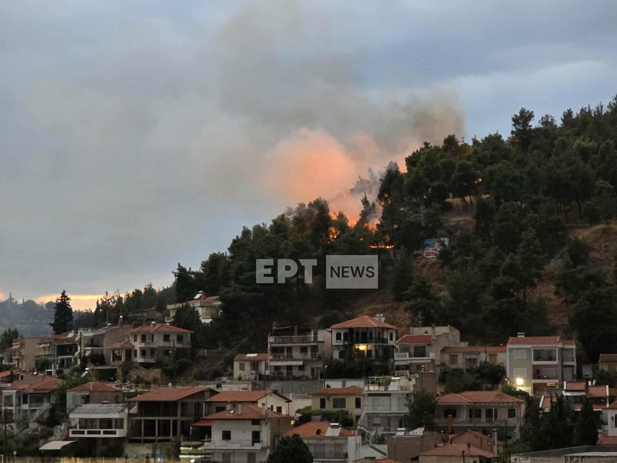 Σέρρες: Φωτιά τώρα στον λόφο του Κουλά πάνω από την πόλη – Μήνυμα από το 112