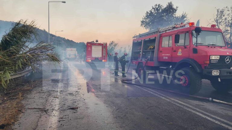 Φωτιά τώρα στη Στεφάνη Πρέβεζας – Μάχη να μη μπουν οι φλόγες στις αυλές των σπιτιών