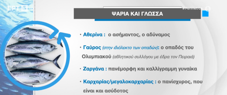 Ψάρια στα “δίχτυα” της γλώσσας- Πώς συνδέονται τα θαλασσινά είδη με την καθημερινή μας επικοινωνία