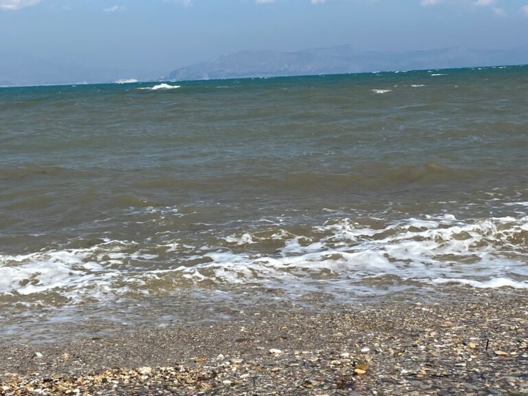 Εντοπισμός πυρομαχικού υλικού στα Βελανίδια του δήμου Μονεμβασίας