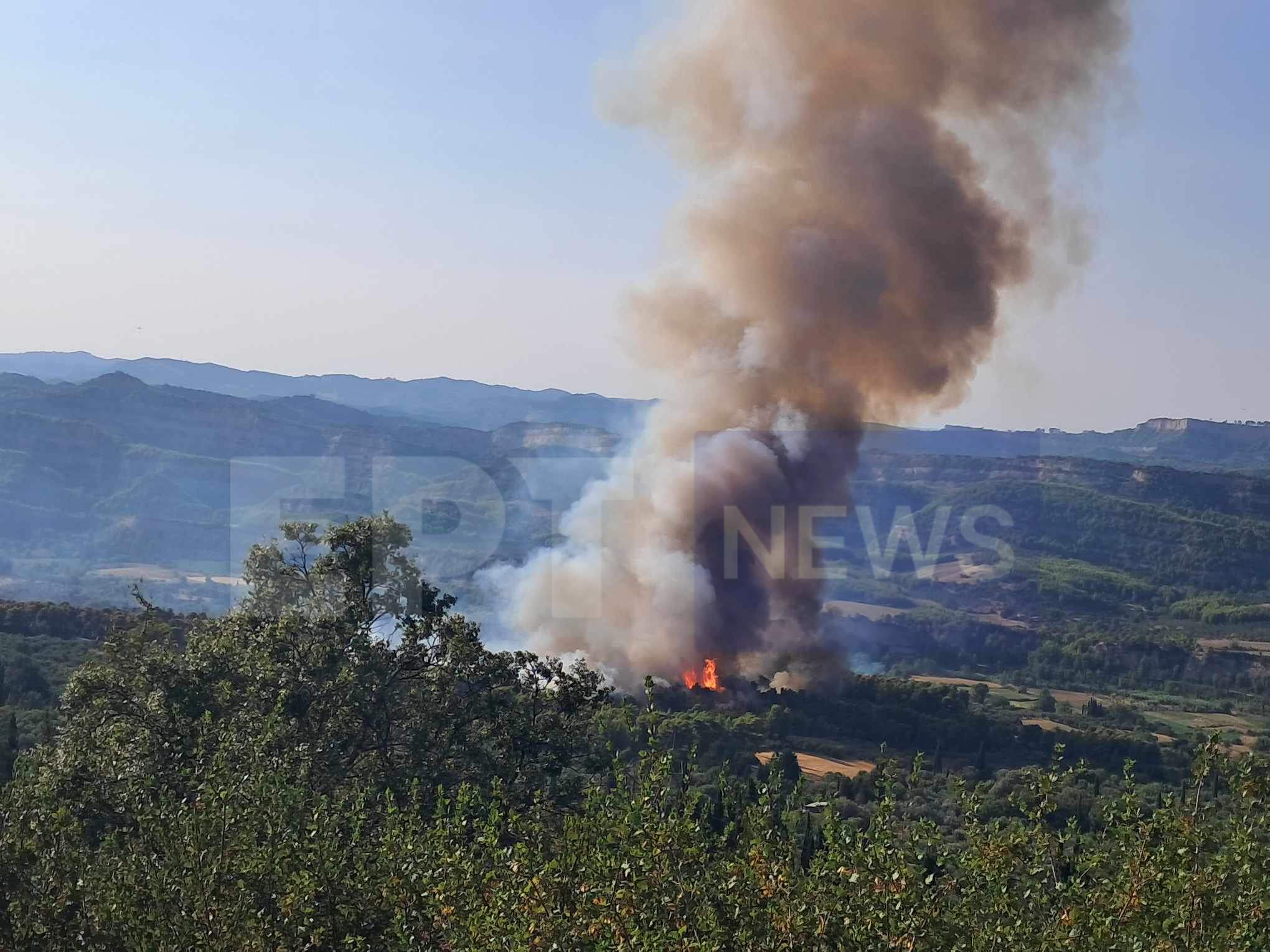 Χελιδόνι Ηλείας: Συνεχίζονται οι προσπάθειες κατάσβεσης από την Πυροσβεστική – Σε ύφεση η πυρκαγιά – Μάχη με αναζωπυρώσεις