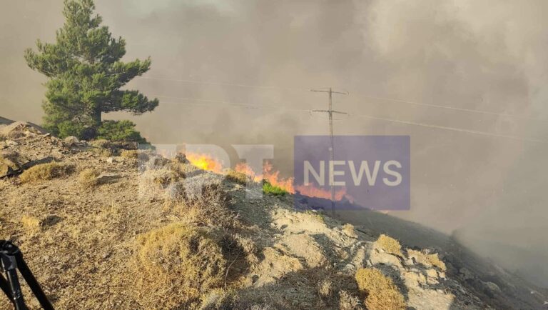 Χίος: Δύο πύρινα μέτωπα σε εξέλιξη – Επιχειρούν 5 ελικόπτερα – Καταστροφικό το πύρινο πέρασμα στο βορειοδυτικό τμήμα του νησιού