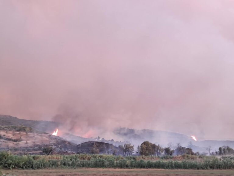 Συγκροτήθηκε η Επιτροπή Καταγραφής Ζημιών από την πυρκαγιά στην Αρχαία Ολυμπία