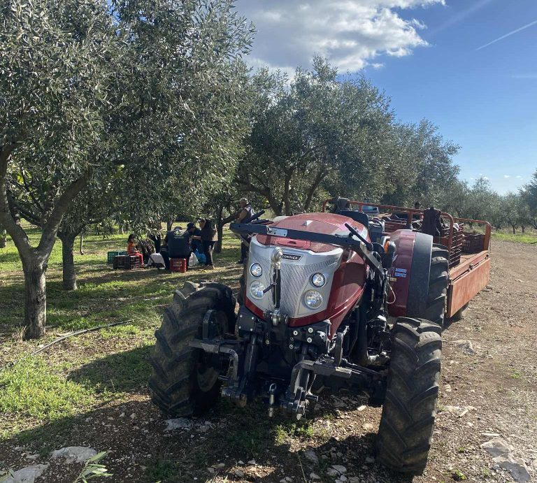 Έφη Λαζαρίδου στην ΕΡΤ Καλαμάτας: «Εκπαίδευση και καινοτομία μπορούν να φέρουν τους νέους πίσω στα χωράφια» (ηχητικό)