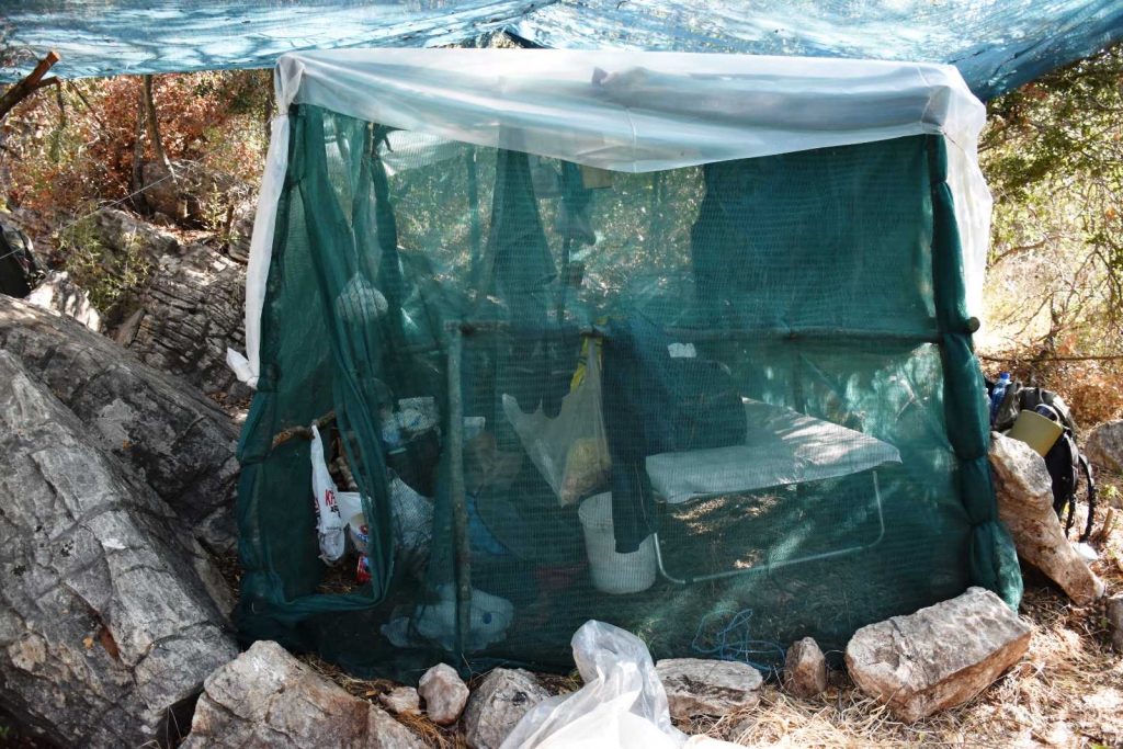 Μεσσηνία: Εντοπίστηκε φυτεία με 231 δενδρύλλια κάνναβης – Συνελήφθη 44χρονος αλλοδαπός (βίντεο)