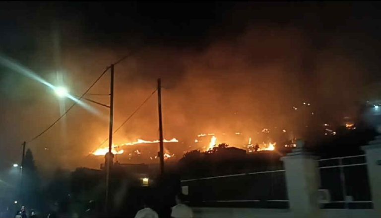 Φωτιά τώρα στη Νέα Πέραμο – Τέθηκε άμεσα υπό μερικό έλεγχο
