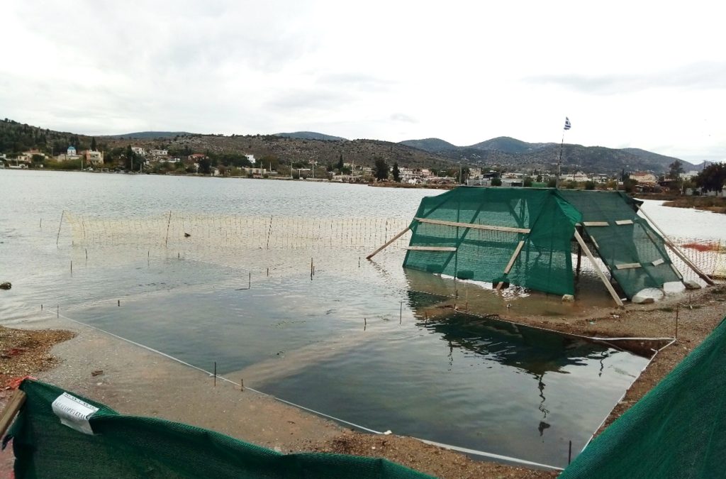 Συνέδριο “Smart Villages” στη Σαλαμίνα: Έξυπνες λύσεις για βιώσιμες τοπικές κοινωνίες