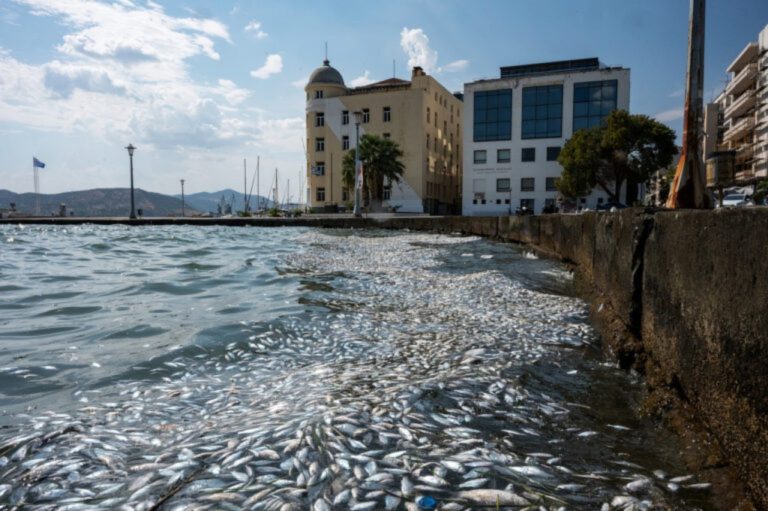 Πρόγραμμα 2 εκατ. ευρώ για τις επιχειρήσεις του Παγασητικού που επλήγησαν από τα νεκρά ψάρια