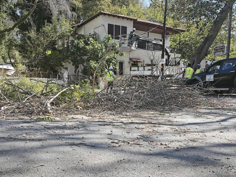 Θυελλώδεις άνεμοι στον Βόλο – Χωρίς ρεύμα και τηλέφωνο κάτοικοι στην Άλλη Μεριά