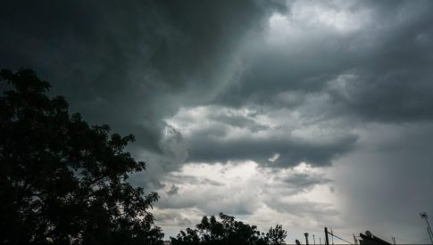 Στην Κρήτη ο βουλευτής της Νέας Αριστεράς, Ευκλείδης Τσακαλώτος