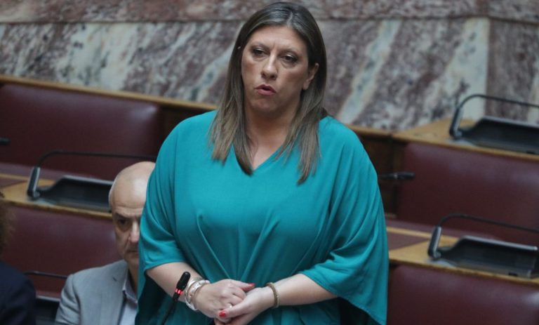 Το πόθεν έσχες της Ζωής Κωνσταντοπούλου για τα έτη 2024 και 2023