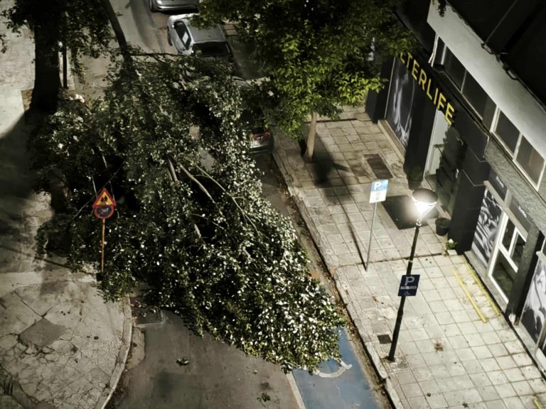 Ισχυροί άνεμοι σαρώνουν τον Βόλο – Ζημιές σε οχήματα, πτώσεις δέντρων και διακοπές ρεύματος