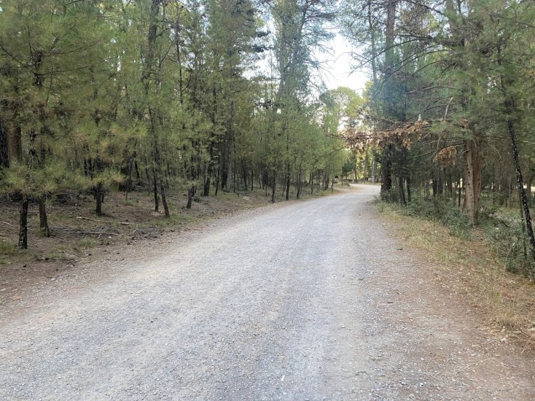 Σύμβαση για δημιουργία ζωνών πυροπροστασίας στον δήμο της Τρίπολης