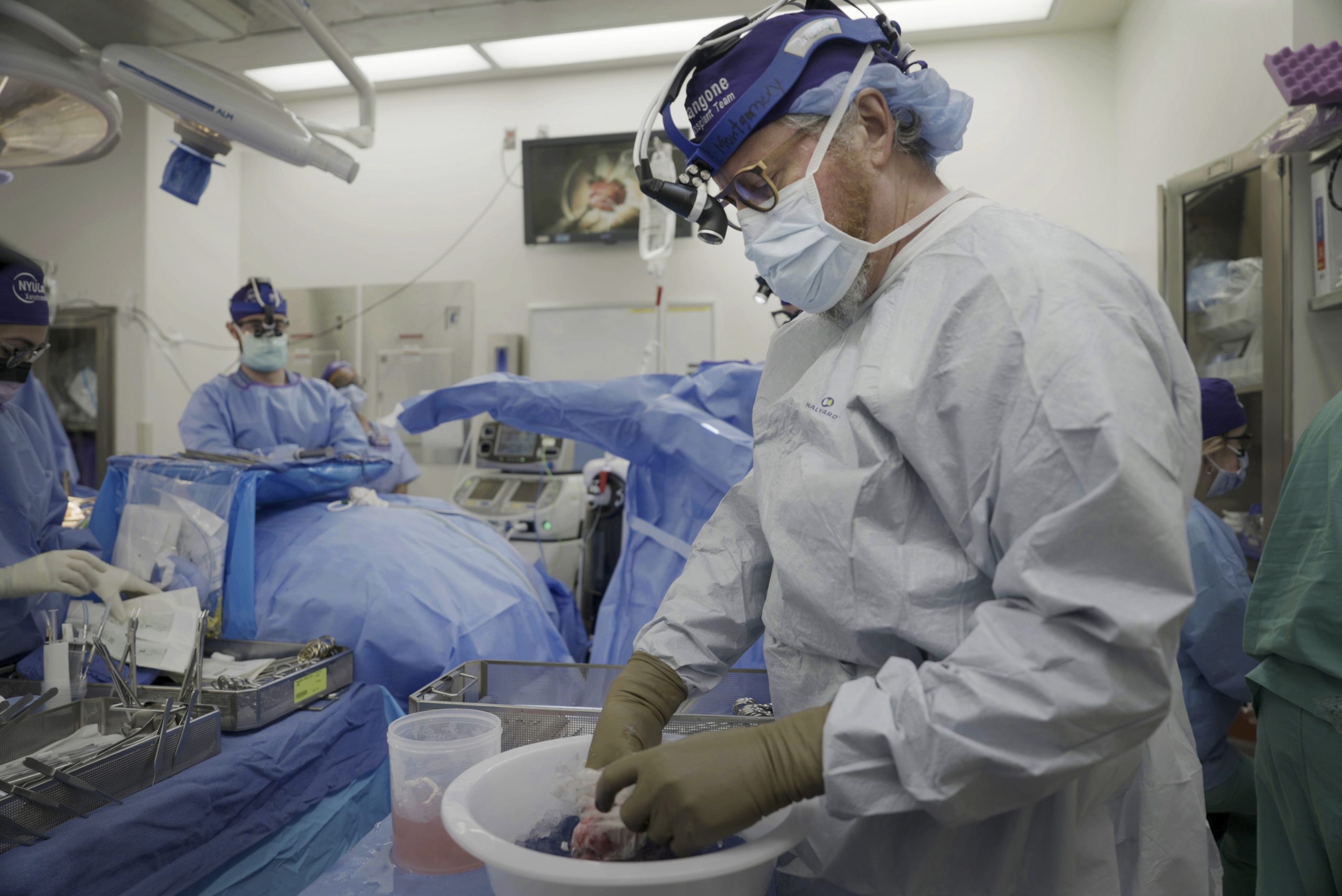 Xenotransplantation Behind the Story