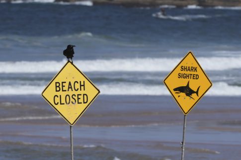 Νέοι αντιδήμαρχοι στον Δήμο Μαρωνείας-Σαπών