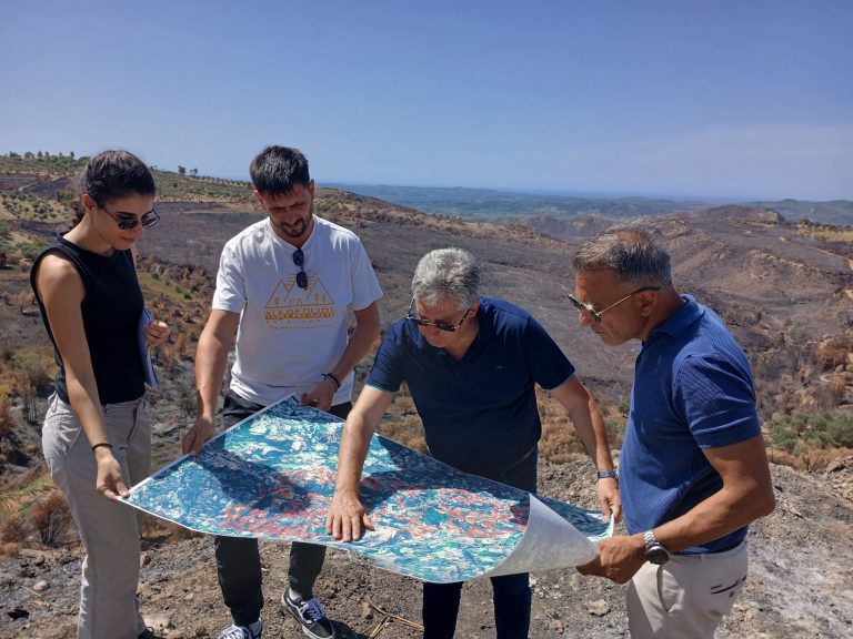 Αντιπλημμυρική μελέτη για την πυρόπληκτη ζώνη από το δασαρχείο Πύργου