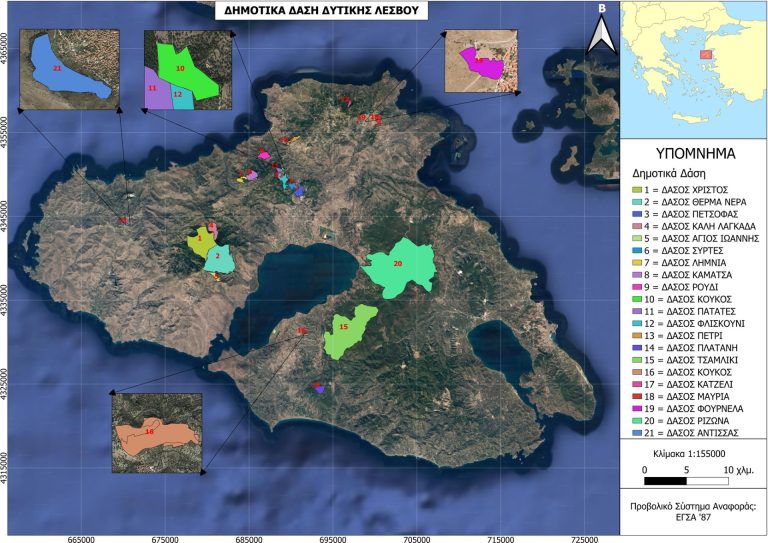 Διαχειριστικές μελέτες για την προστασία των δασών εκπονεί ο δήμος Δυτικής Λέσβου