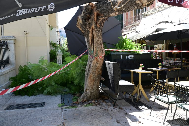Διεύθυνση Πρασίνου Δήμου Αθηναίων μετά τον τραυματισμό πολιτών στην πλατεία Αγίας Ειρήνης: «Τα δέντρα είχαν ελεγχθεί»