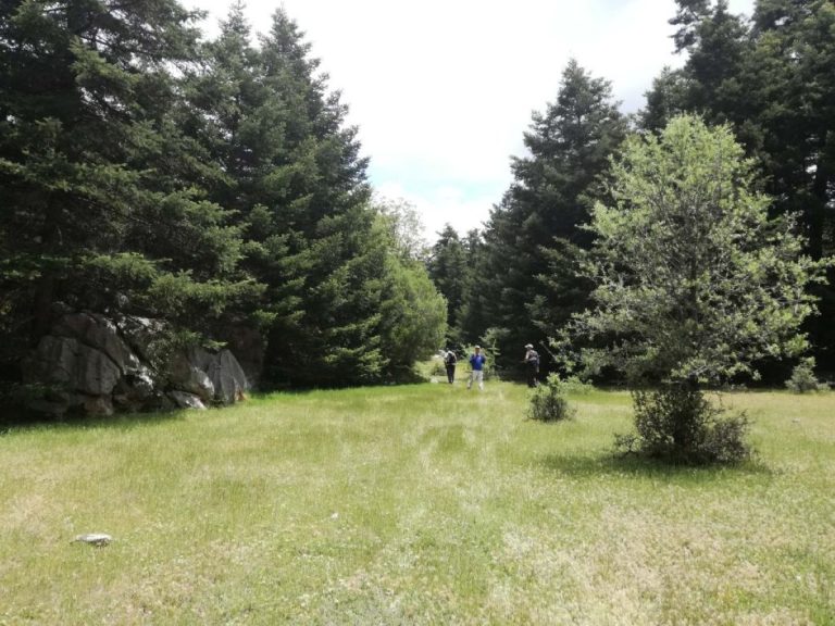 Πεζοπορία ΕΟΣ Καλαμάτας στο Καλάθι 