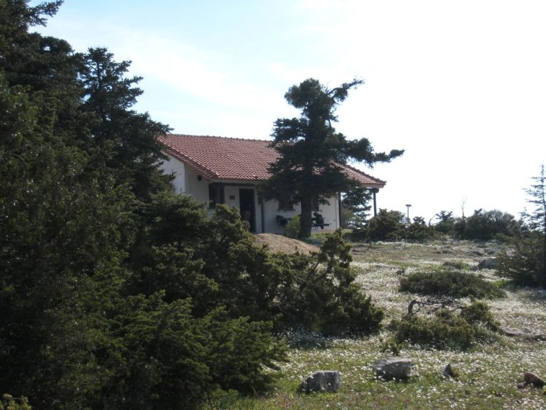 Ορειβατική εξόρμηση ΕΟΣ Σπάρτης στην Πάρνηθα