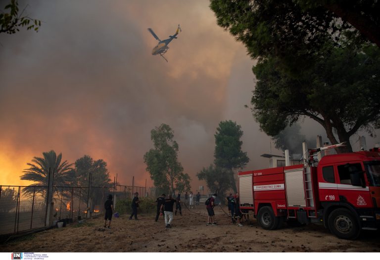 Φωτιά τώρα στα Οινόφυτα – Καίει χαμηλή βλάστηση
