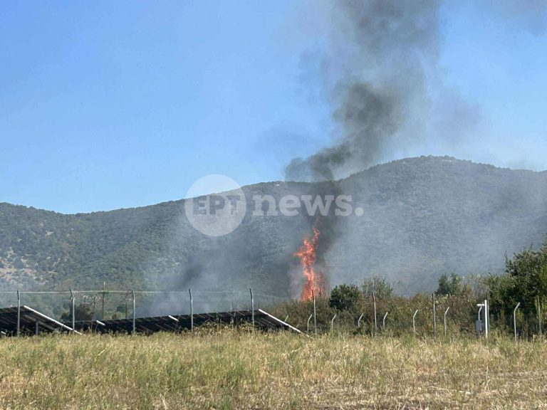 Καστοριά: Σε εξέλιξη πυρκαγιά σε χορτολιβαδική έκταση ανάμεσα στα χωριά Μηλίτσα και Κωσταράζι
