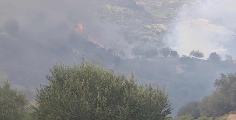 Φωτιά τώρα στο Άλσος Αχαΐας – Απανωτά μηνύματα του «112» για απομάκρυνση κατοίκων από οικισμούς