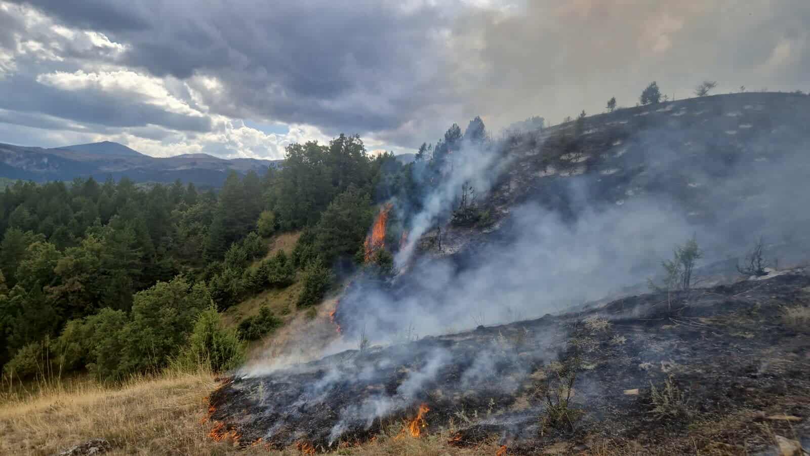 Μεγάλη πυρκαγιά σε δασική έκταση στα Γρεβενά – Ισχυρές δυνάμεις στη μάχη με τις φλόγες