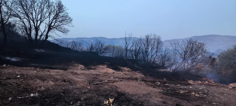 Λέσβος: Σύλληψη νεαρού για πυρκαγιά στη Βρίσα – Εργασίες με τροχό προκάλεσαν τη φωτιά