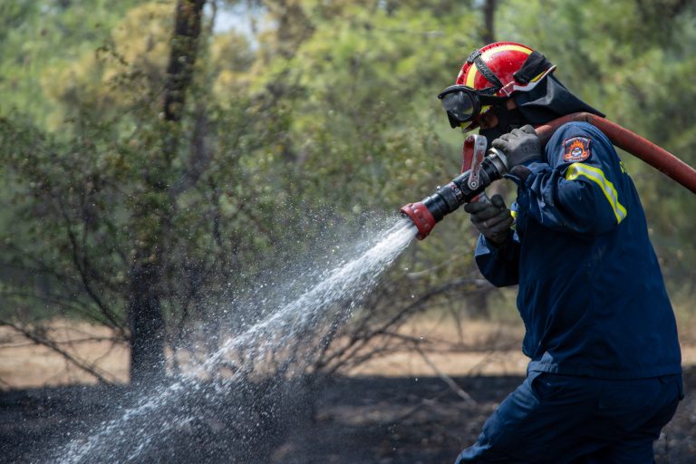 Φωτιά στη Νέα Τρίγλια Χαλκιδικής – Επιχειρούν και εναέρια μέσα