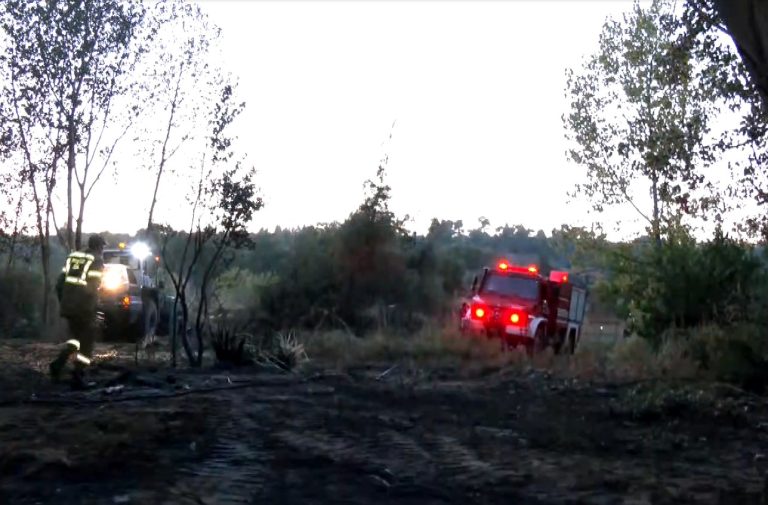 Κατασβέστηκαν άμεσα οι φωτιές που ξέσπασαν σε Χαλκιδική και Θεσσαλονίκη το απόγευμα της Κυριακής