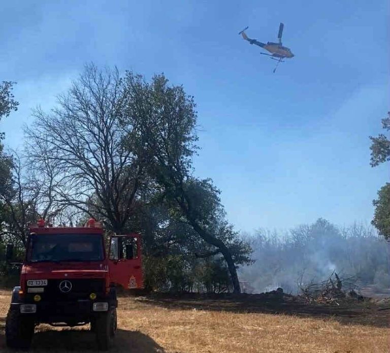 Άρτα: Φωτιά τώρα σε δασική έκταση στην περιοχή Λαγκαδά